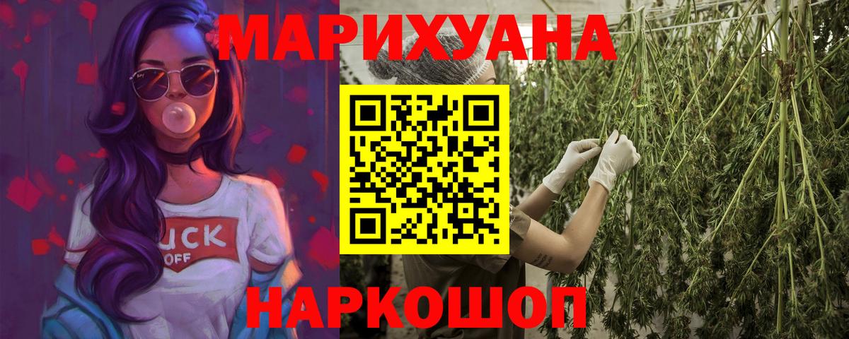 Каннабис OG Kush Гай